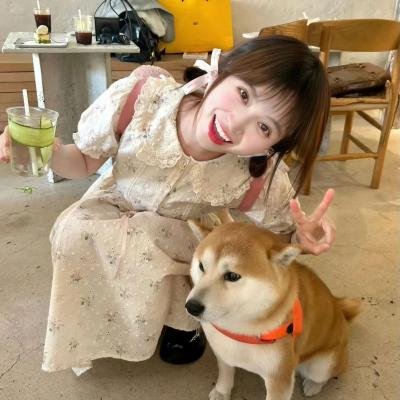 日本的西多妮