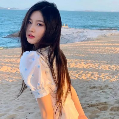 浣熊：新欧洲人